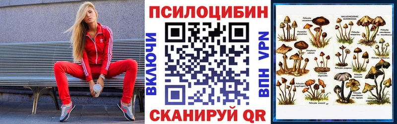 МЕГА как войти  Зеленокумск  Псилоцибиновые грибы Cubensis  где найти  